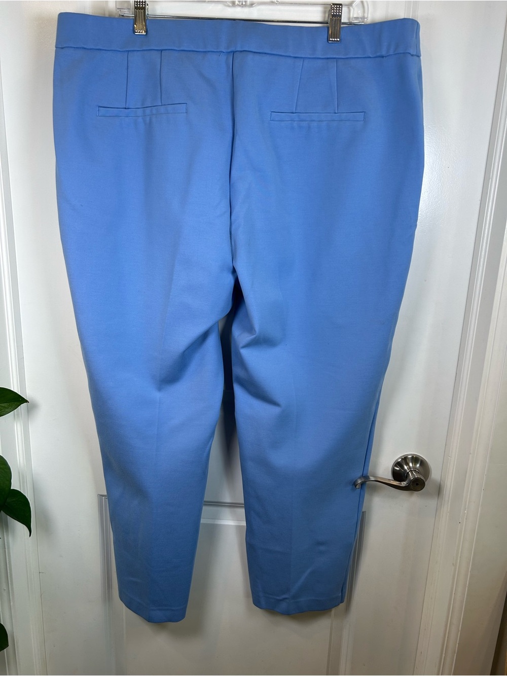 Eloquii French Blue The Ultimate Stretch Slim Leg Pant Size 22R - Picture 8 of 11